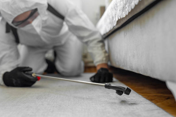 Professional Bed Bug Control technician working in Calabasas, CA