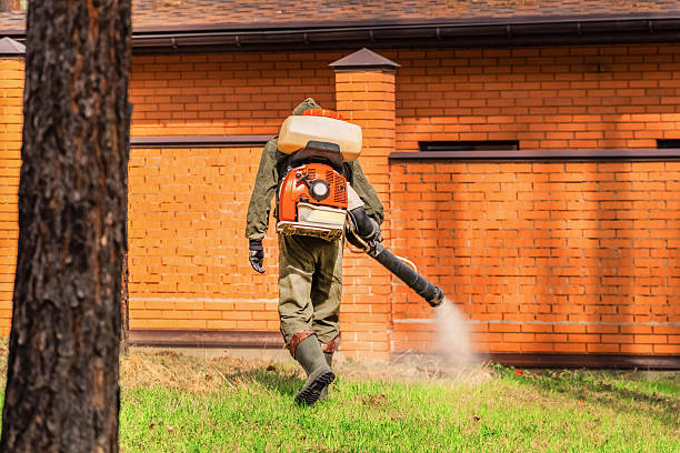 Trusted Cockroach Control service in Calabasas, CA - Nex Pest Control